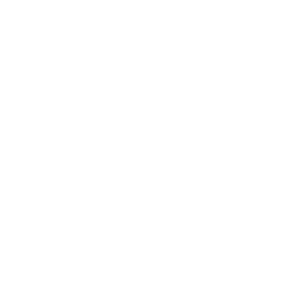 Aarstiderne